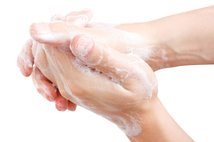 Homeland Wellness - Handwashing Education